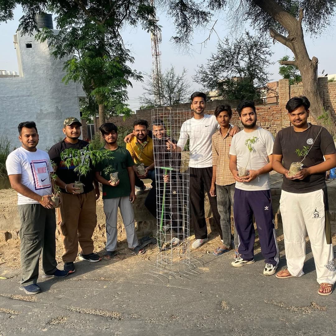 Environmental plantation drive
