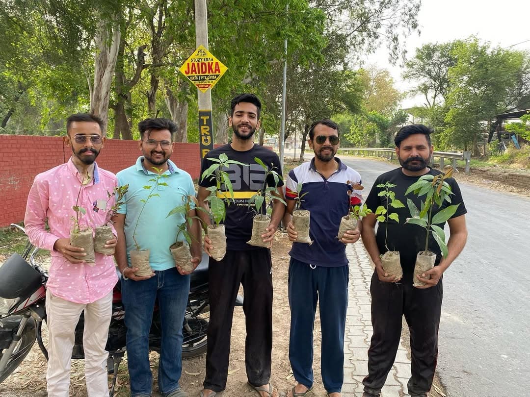 Plantation Drives